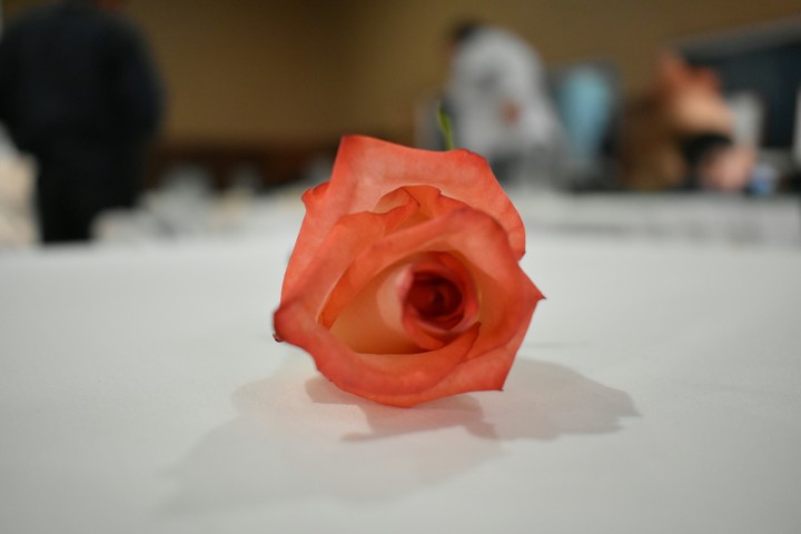 Flor