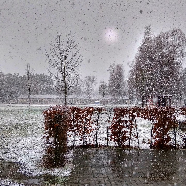 Snow day