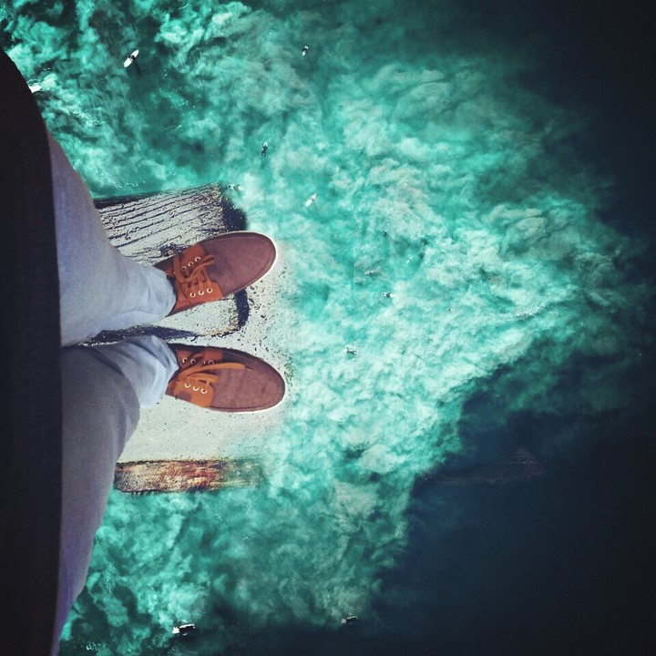 Free Life