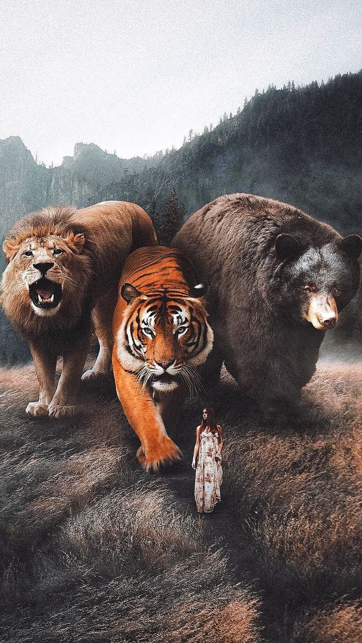 Animals
