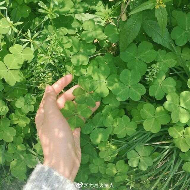 cute