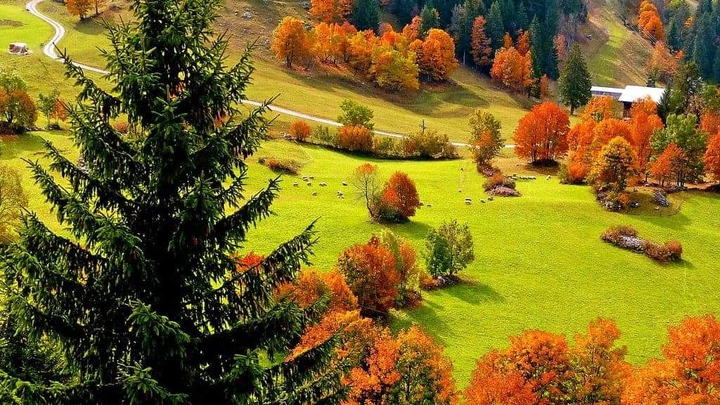 Près de La Clusaz en Haute-Savoie