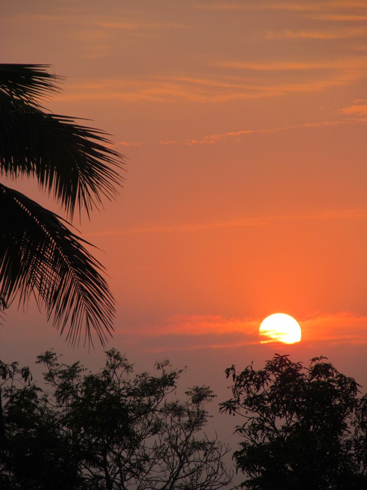 beautiful nature