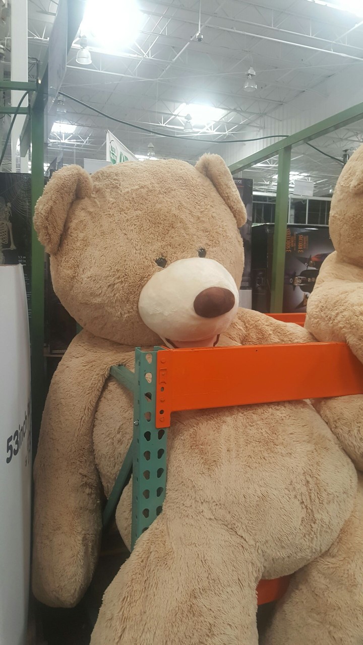 Another giant teddy bear :D
