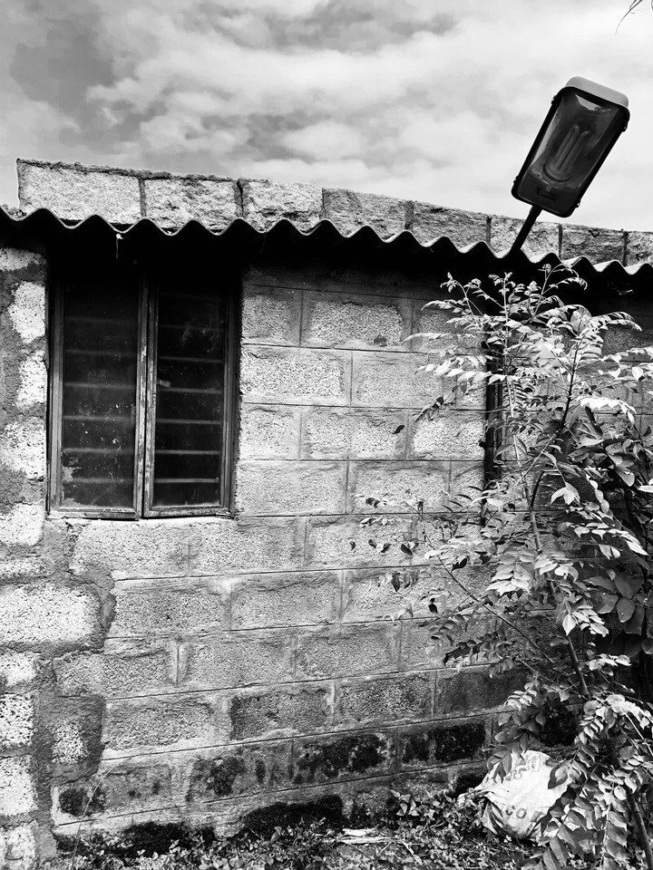 The small cement house