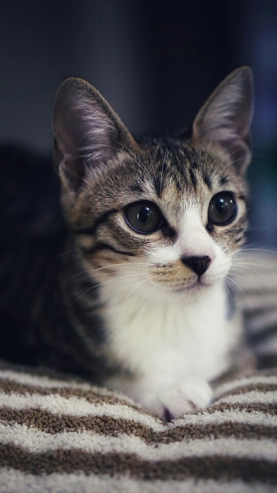 "."❤