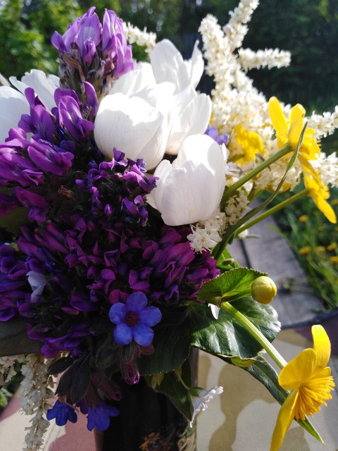 sfondi flower, purple