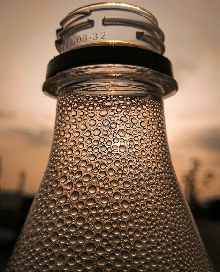 Bottle