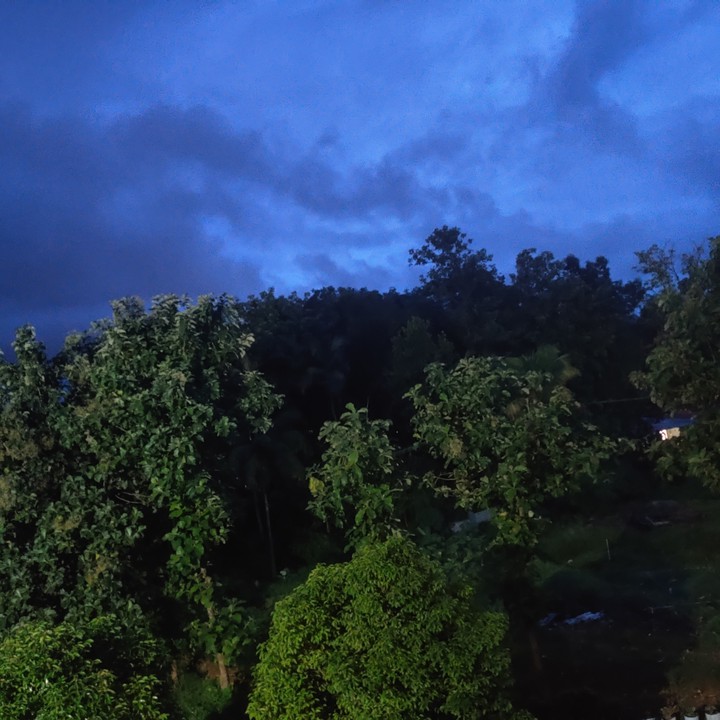 the blue going into the blackness of night...