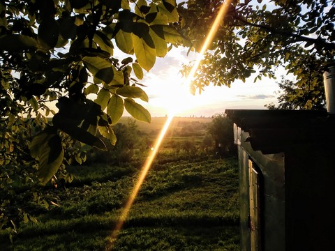 Sunset