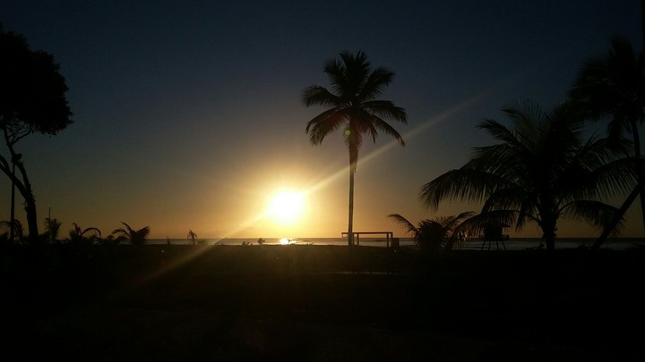 sol