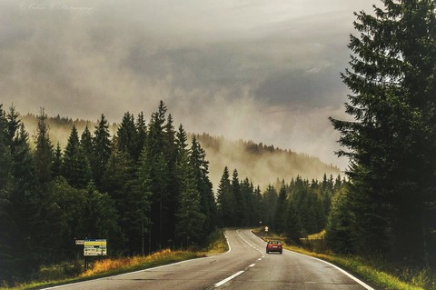 Foggy