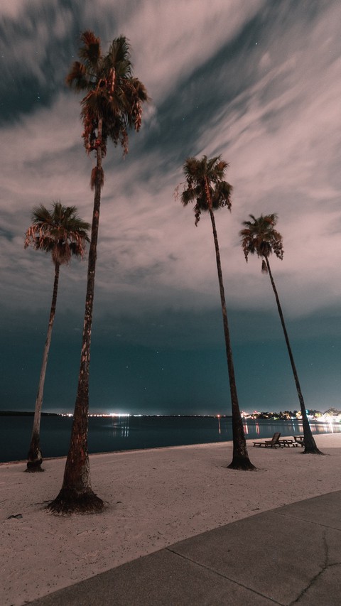 Palms