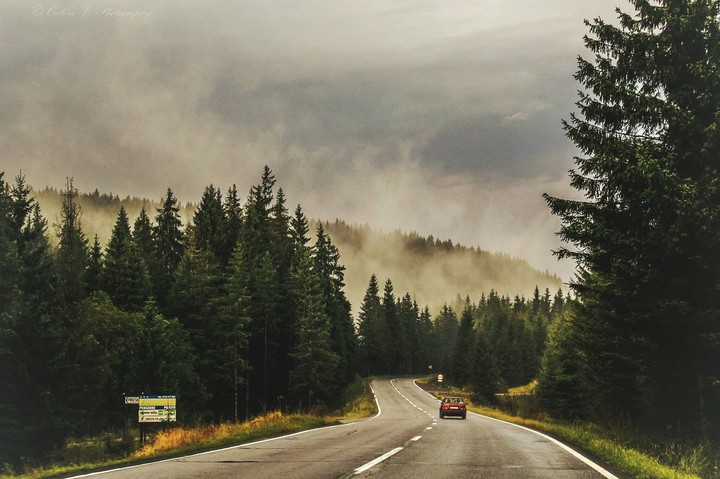 Foggy