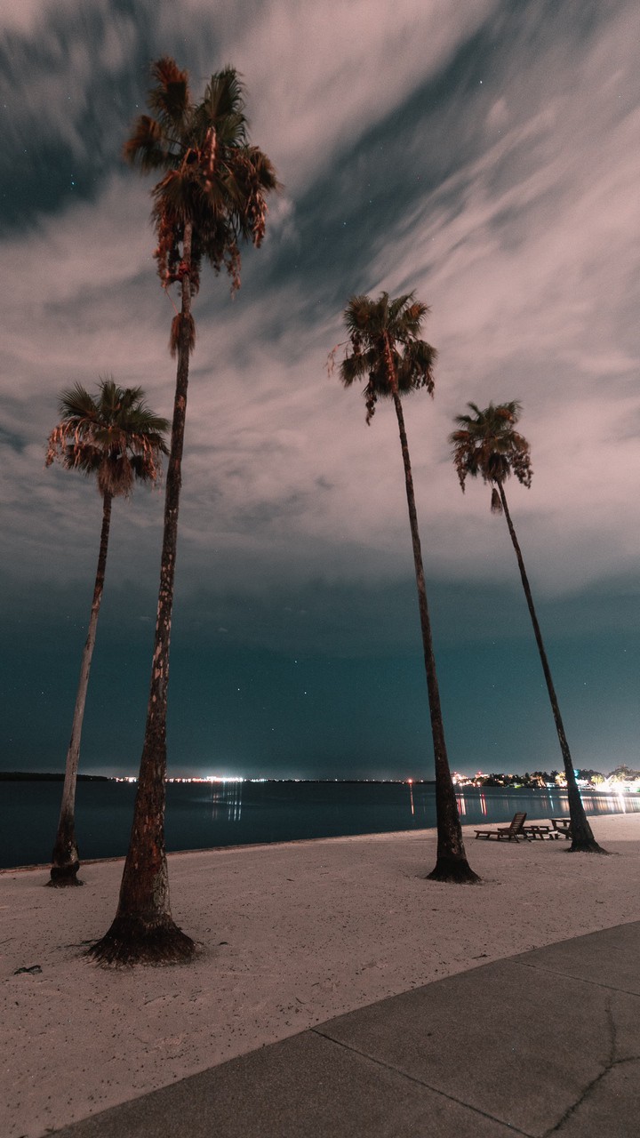 Palms