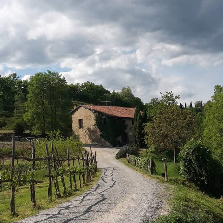 Countryside