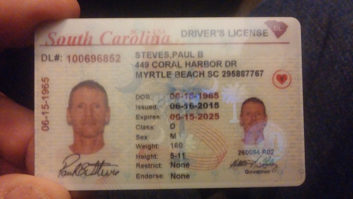 driver licence