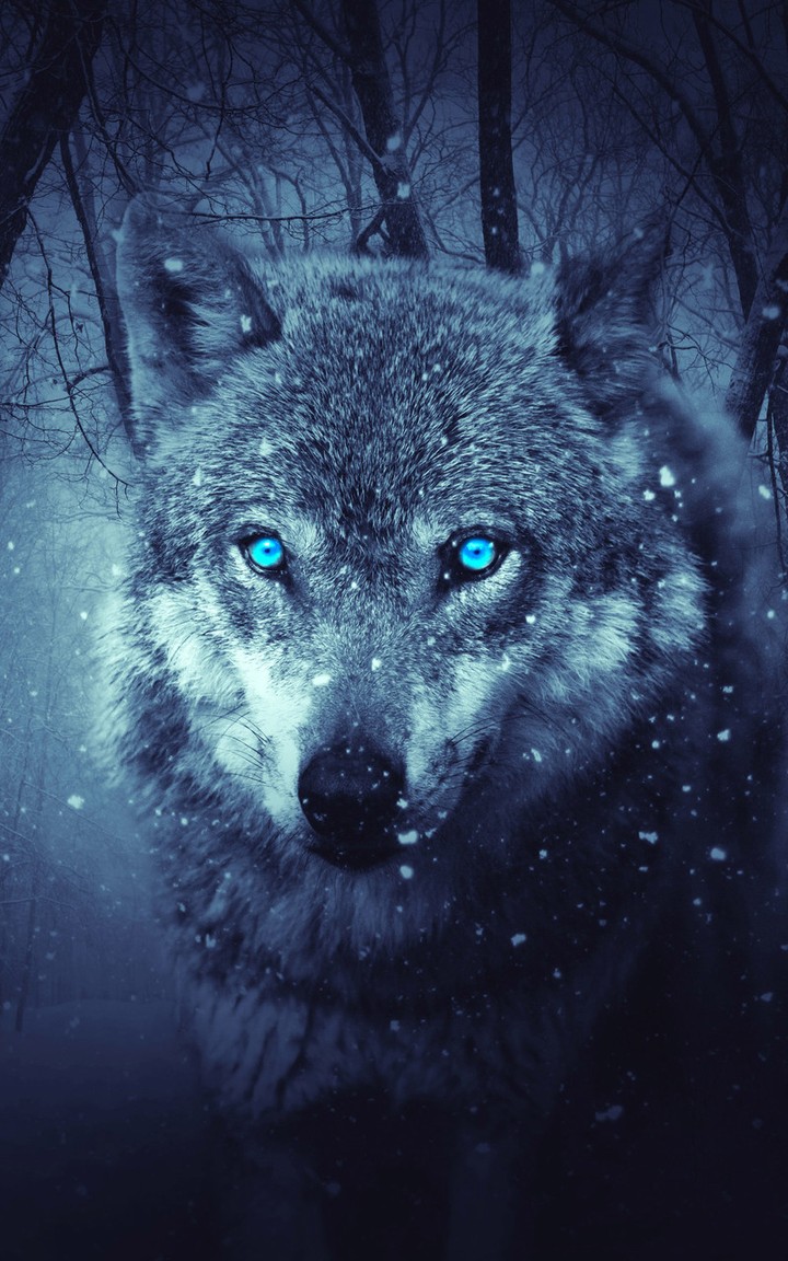 Fantasy Wolf