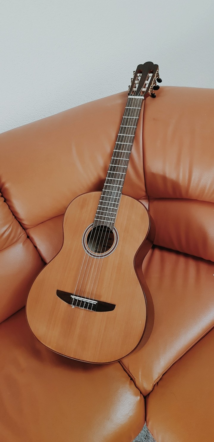 Guitar