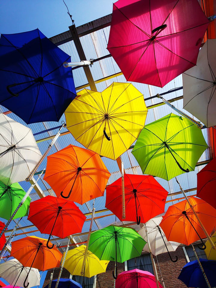 Heart-shaped umbrella