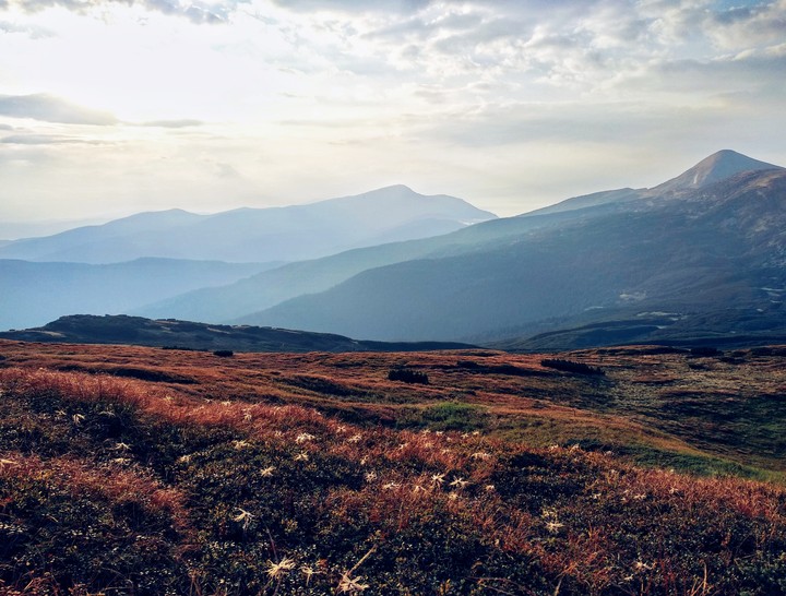 Carpathians