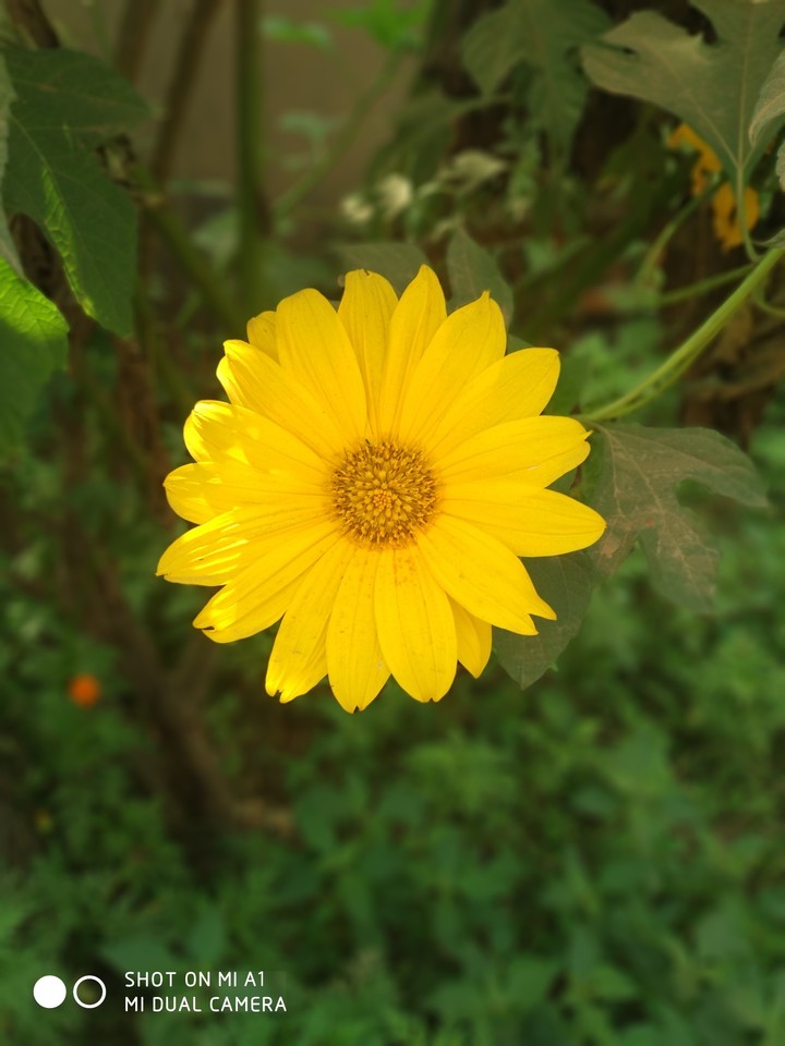 pic by me