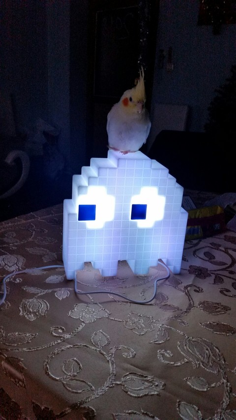 pacmen