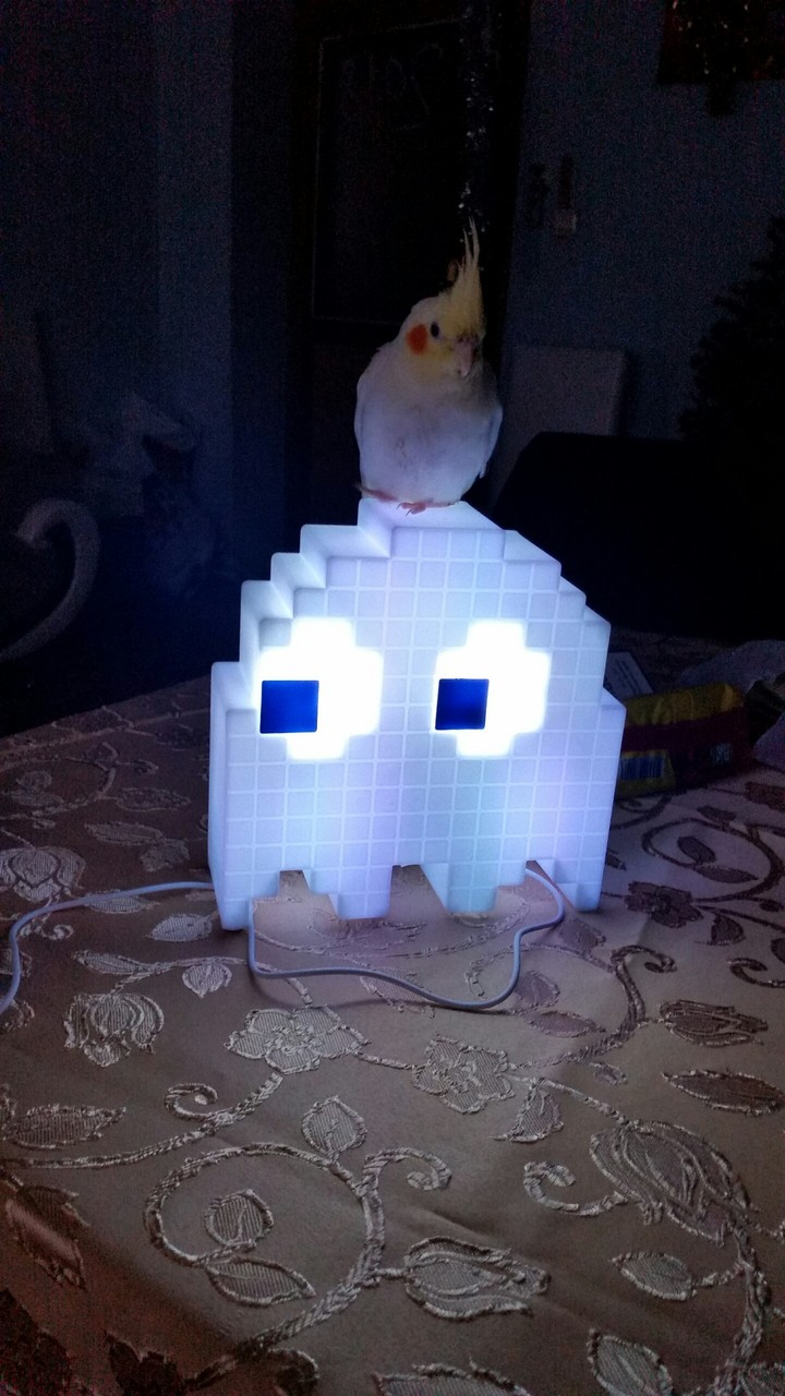 pacmen