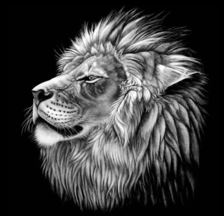 dessin