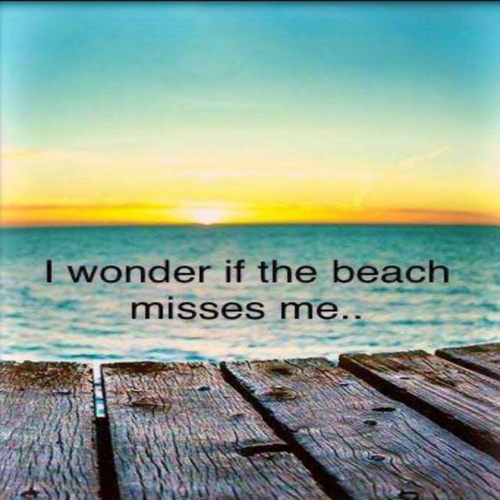 I wonder if...