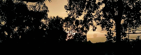 Dawn