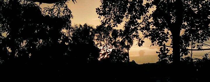 Dawn