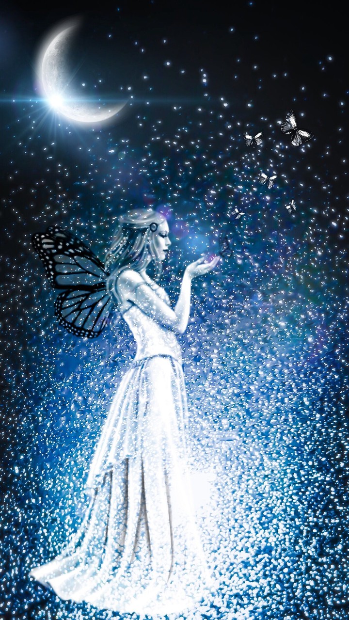butterfly dreams