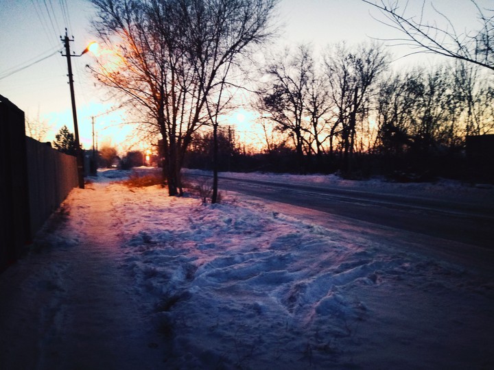 Morning
