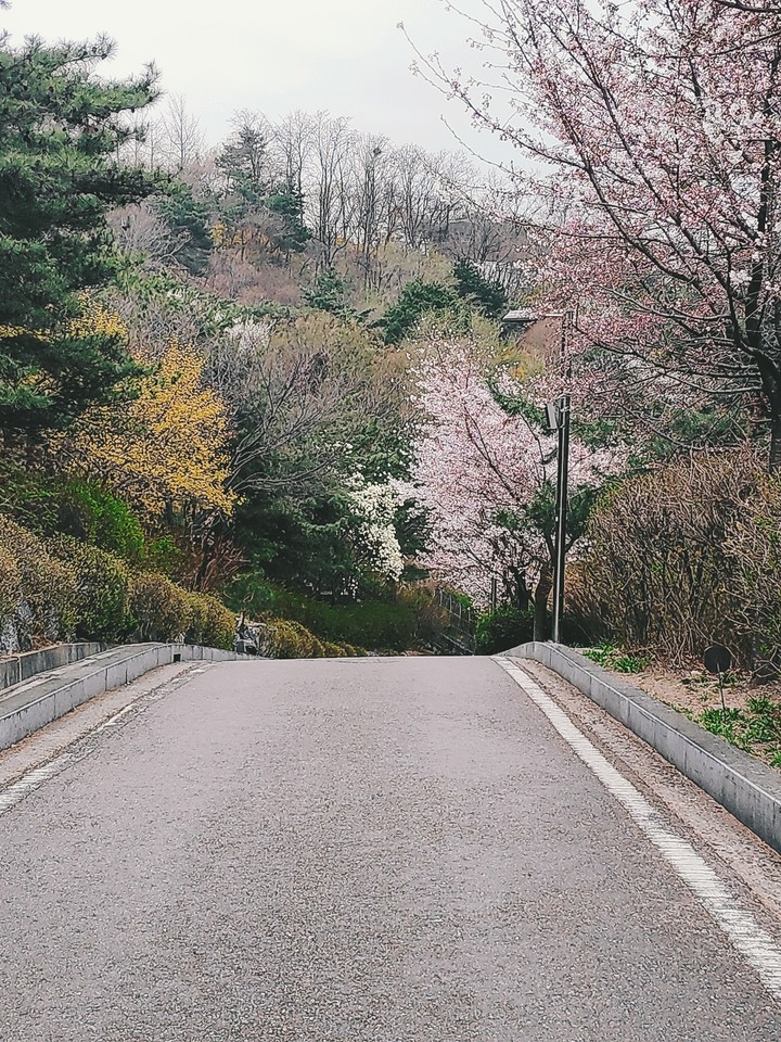꽃길만 걷자~