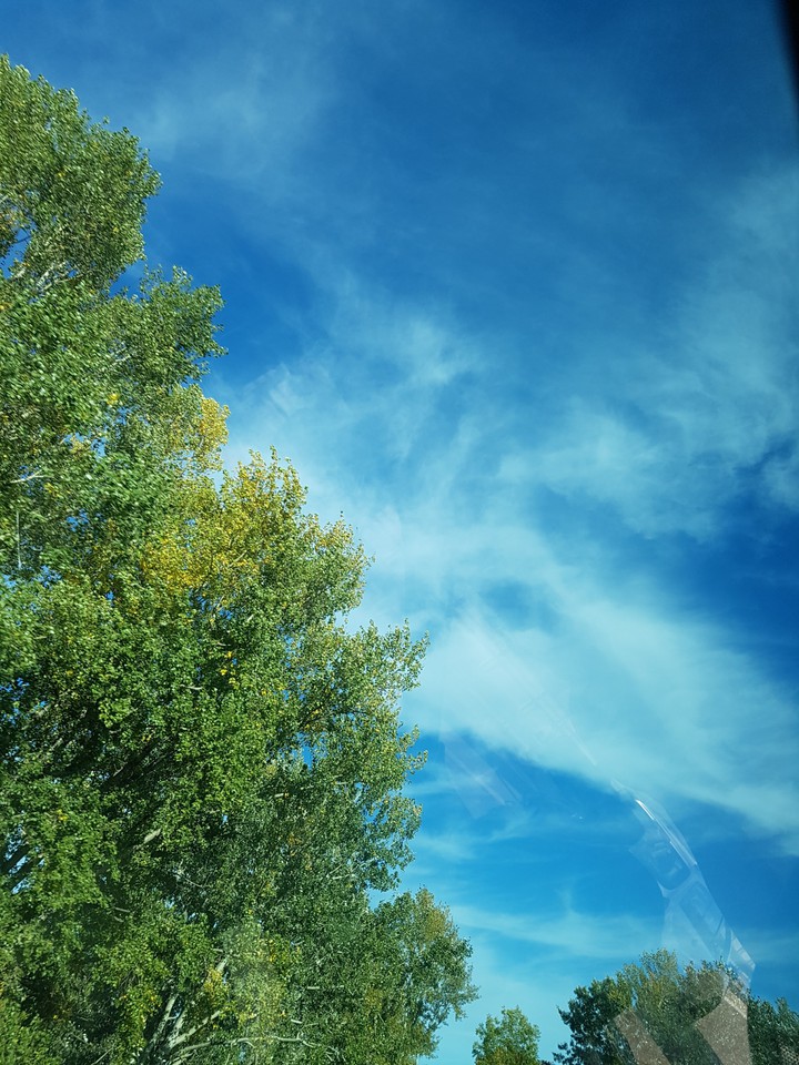 اسمان ابی، Blaues Himmel, Blue sky