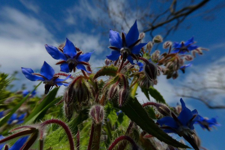 blue and sky 2