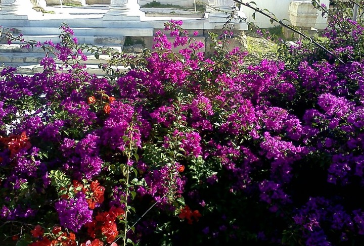 Greece-Athens