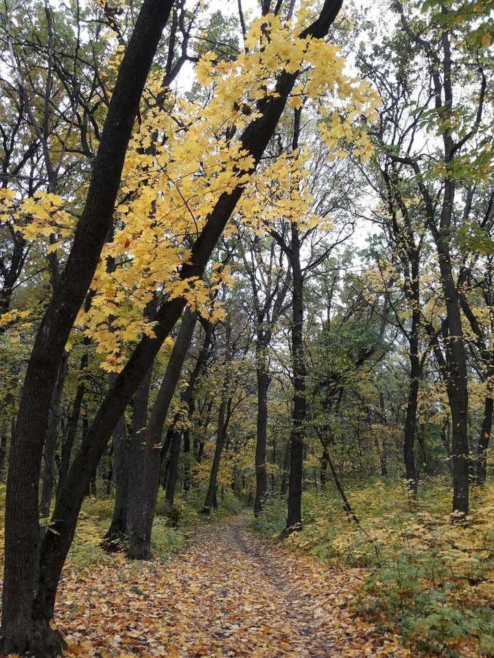 осень