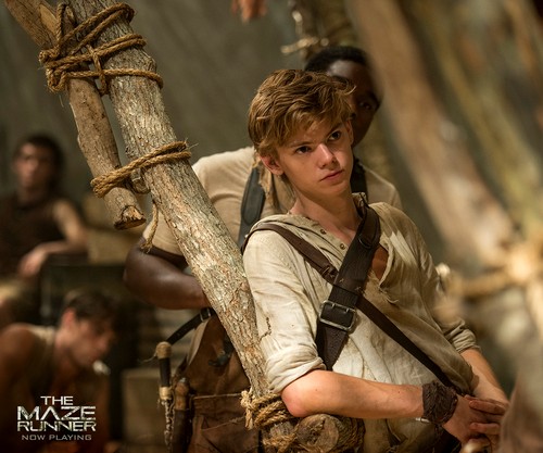 Newt