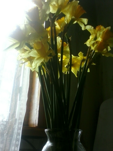 flowers