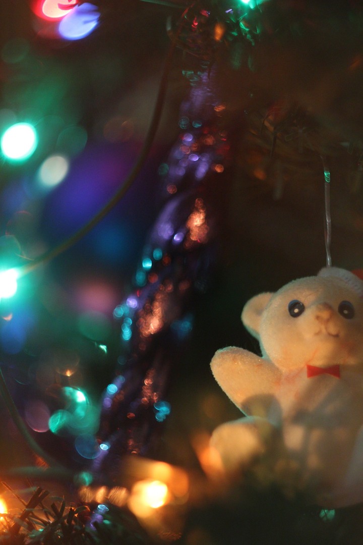 New year Bear