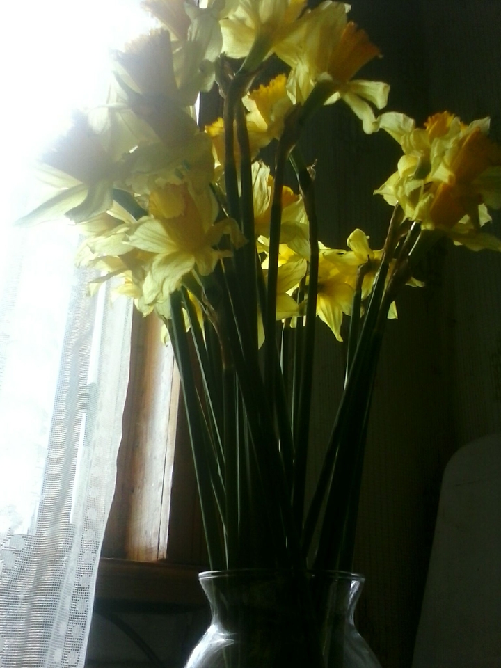 flowers