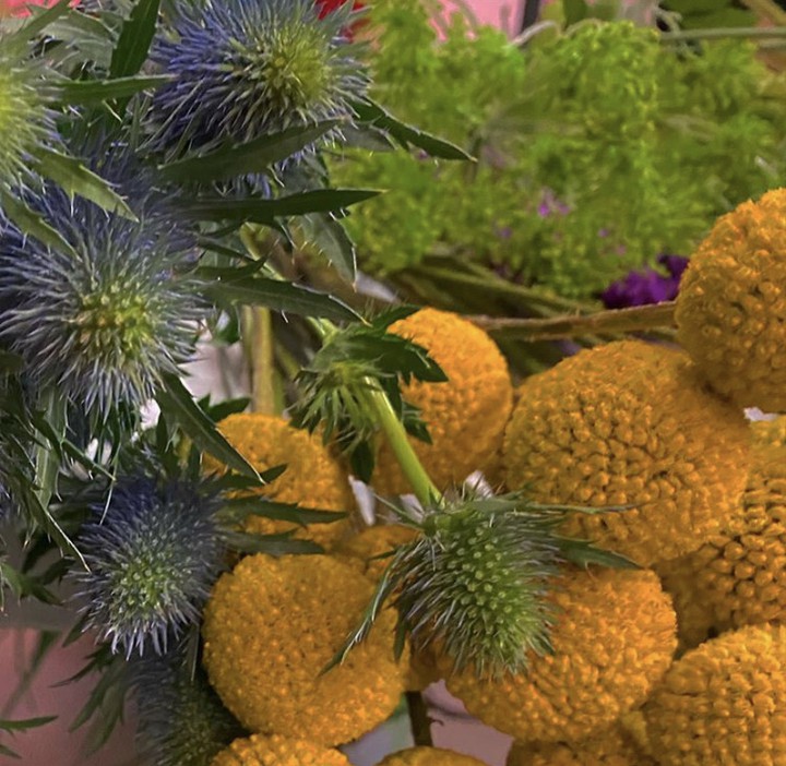 flowers