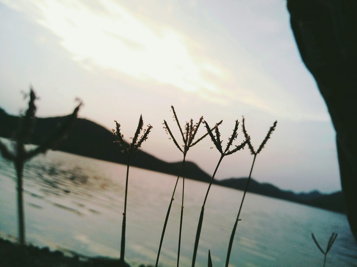 Awesome