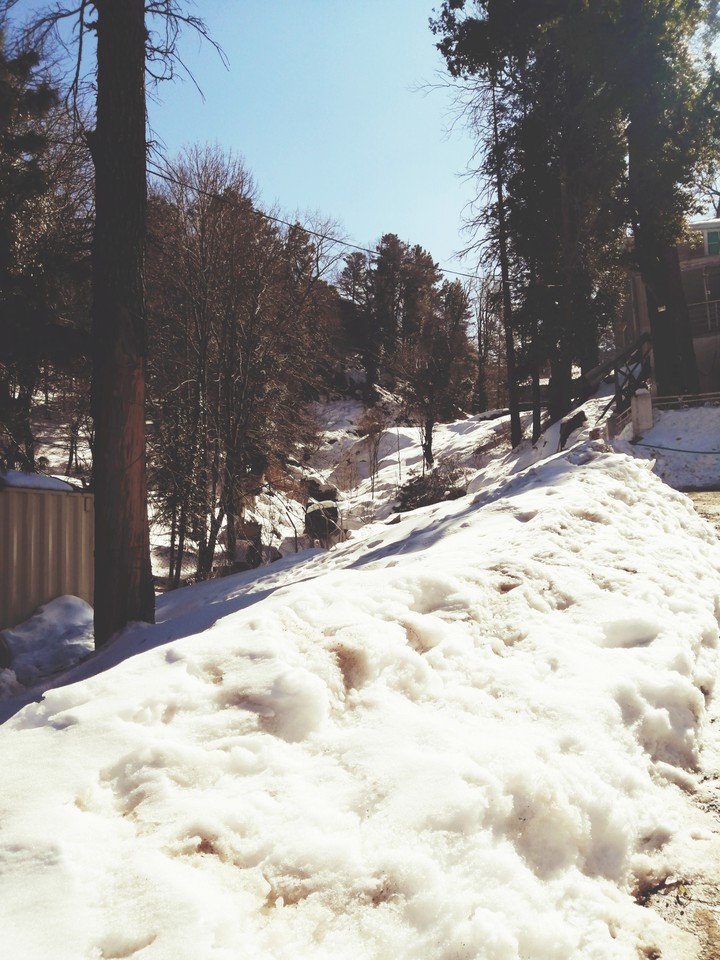 snow
