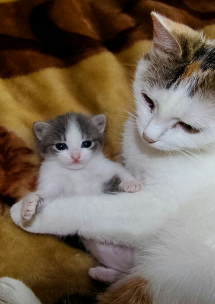 A mother hug her child