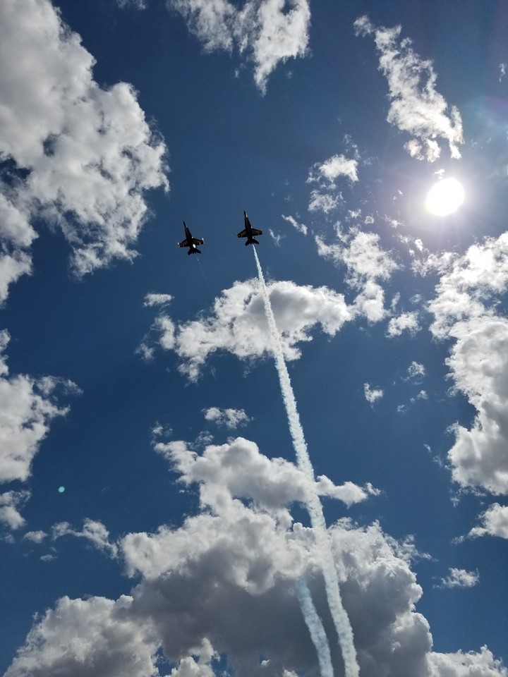 Blue Angel's Solo Pilots