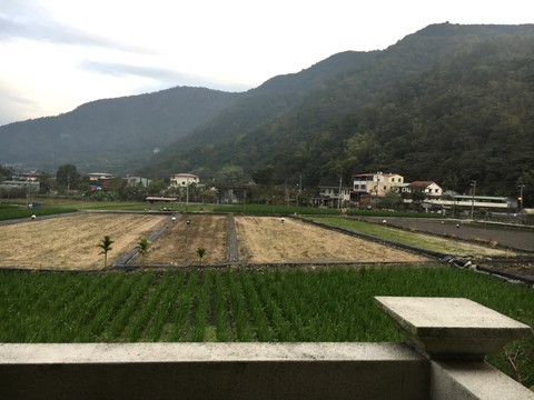 南投