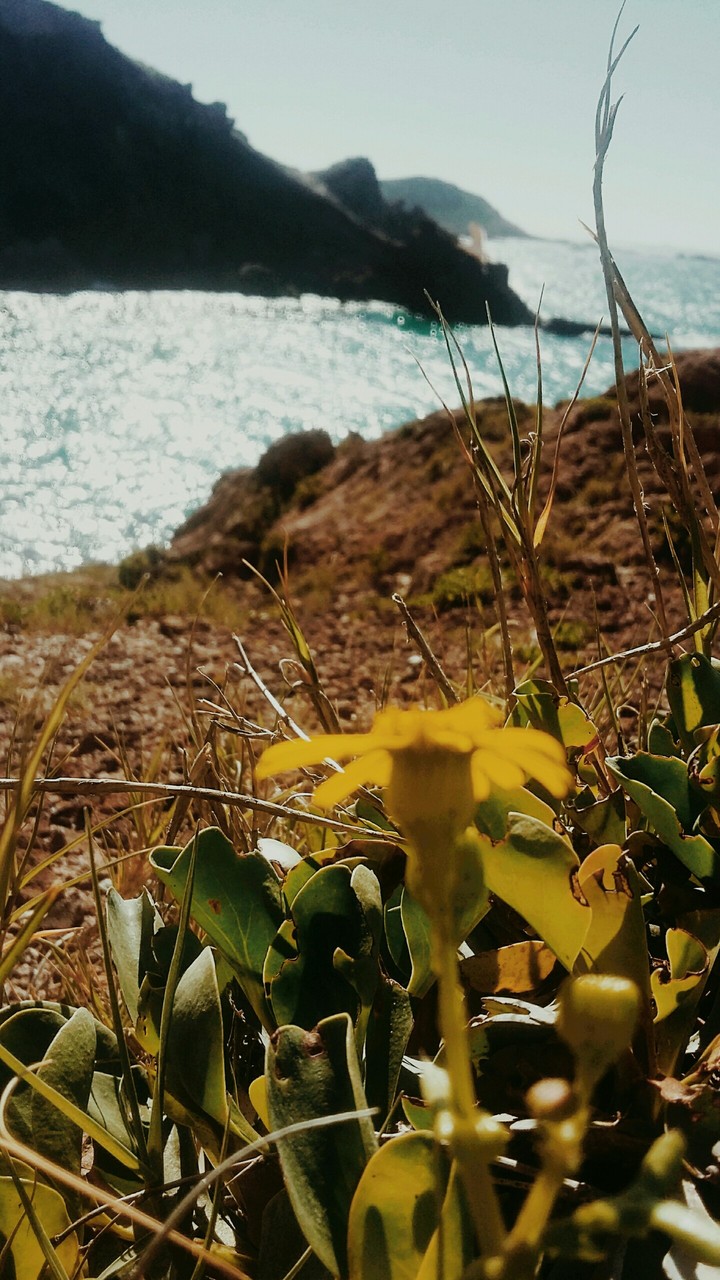 nature